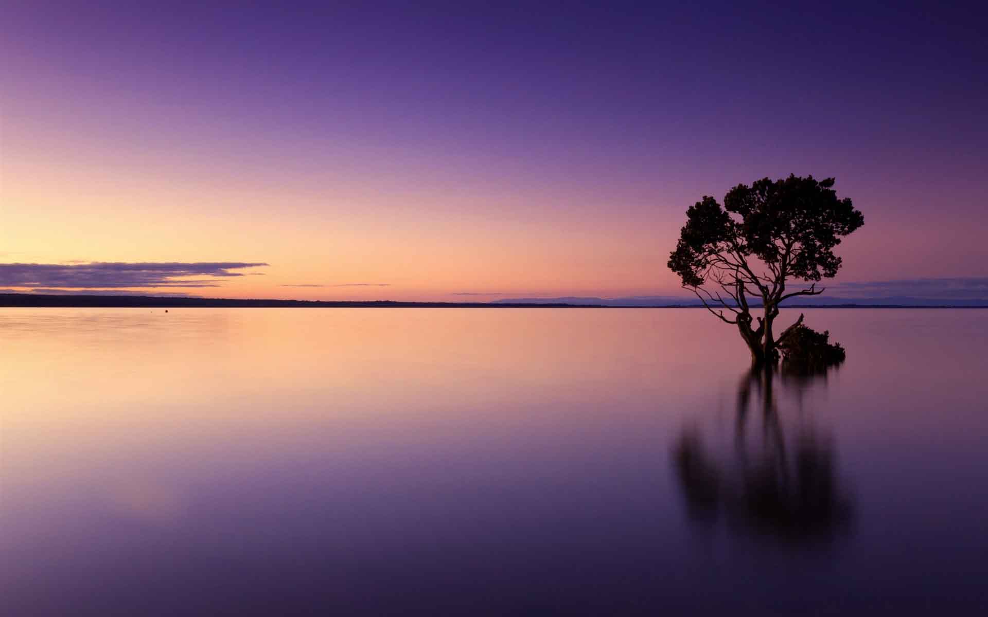 湖景